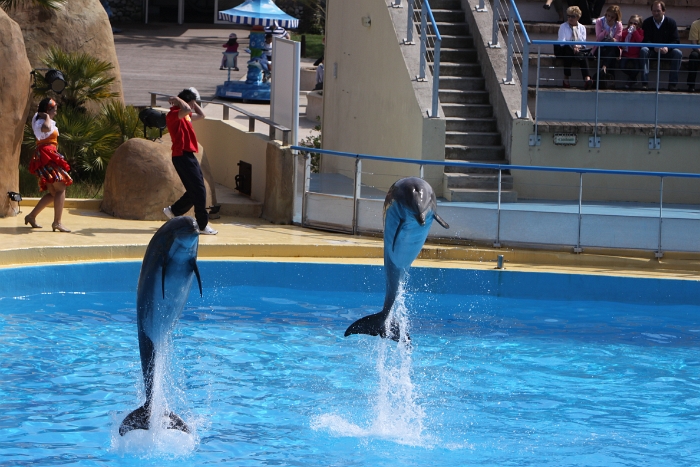 Marineland - Dauphins - 020